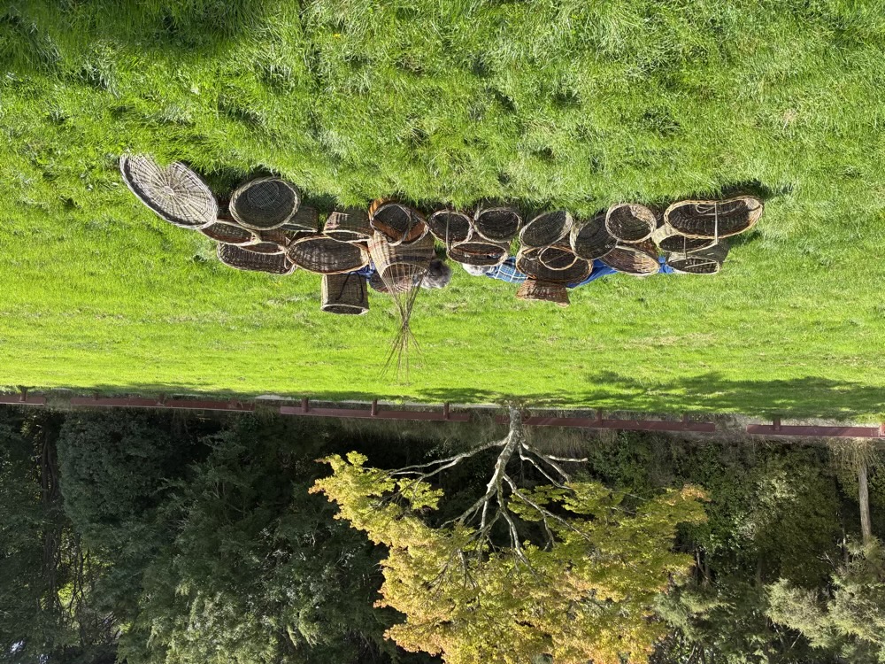 Annual Weaving Retreat 2025 cover image